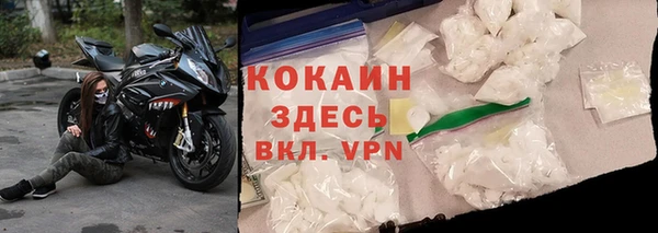 прущие грибы Елабуга