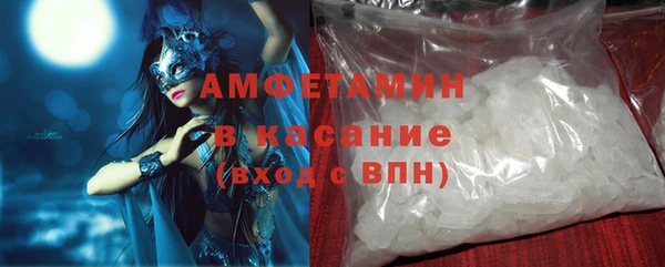 прущие грибы Елабуга