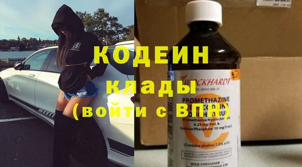 прущие грибы Елабуга