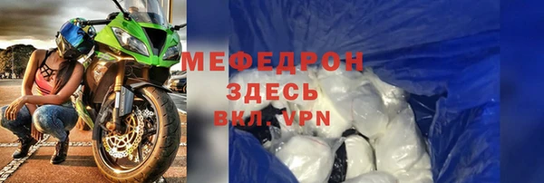 прущие грибы Елабуга