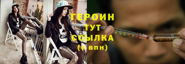 прущие грибы Елабуга