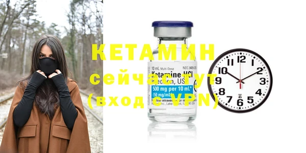 прущие грибы Елабуга