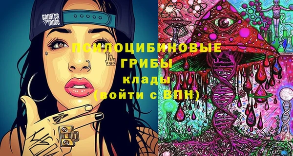 прущие грибы Елабуга