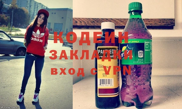 прущие грибы Елабуга