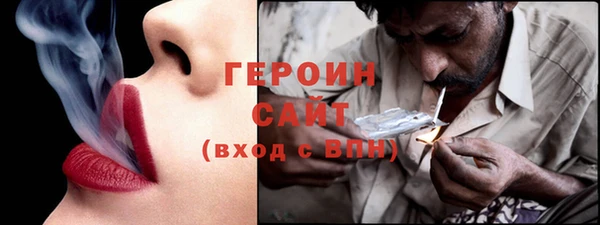 прущие грибы Елабуга