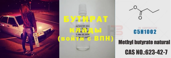 прущие грибы Елабуга