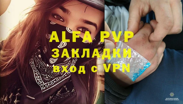 PSILOCYBIN Елизово