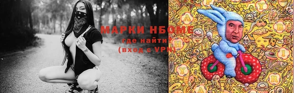прущие грибы Елабуга