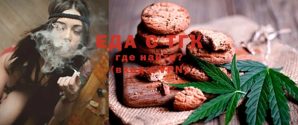 прущие грибы Елабуга