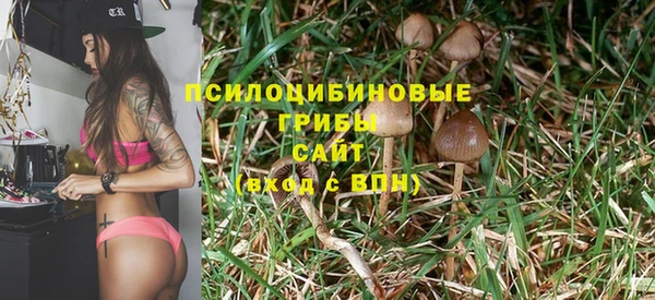 марихуана Ельня