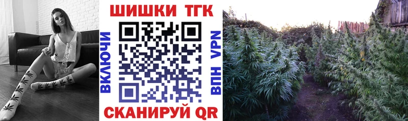 Бошки Шишки план  Купить где  Советский 